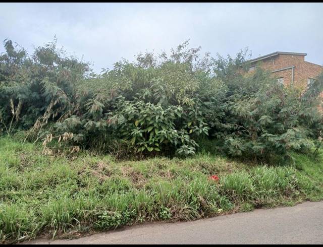 LAND FOR SALE IN ZAKARIYYA PARK